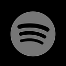 descarga spotify 2.png