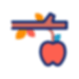 apple.gif
