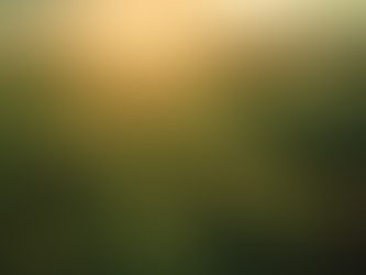 Buy Managed Farmlands in Bangalore: Rhythms of Earth's Pathway to Serene Eco-Living