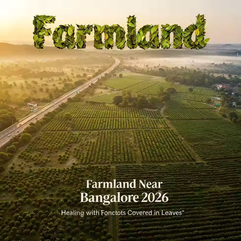 Aerial view of farmland near Bangalore — managed organic farm plots on NH-44 Chikkaballapur corridor, 2025