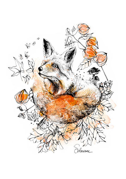 illustration renard aquarelle