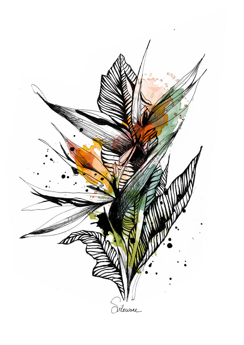 Miniature : illustration fleur tropicale graphique