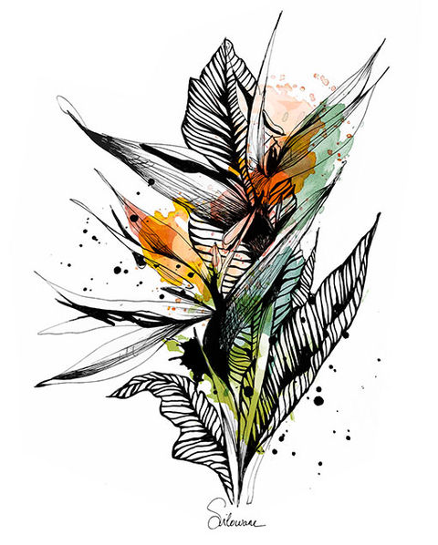 fleur tropicale aquarelle