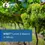 Thumbnail: WSET Level 2 (Certification Program)