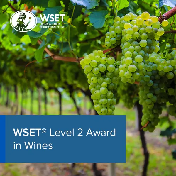 WSET Level 2 (Certification Program)