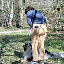 Éducateur canin Bergerac - travail de la connexion en milieu distrayant - parc public - chien en longe