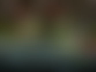 Animowany reboot "Wojowniczych Żółwi Ninja" od Setha Rogena z datą premiery