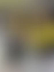 "Mit kleiner Auswahl unfassbar viele Medaillen geholt"