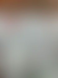 Überall volle Hallen und eine begeisterte französische Familie