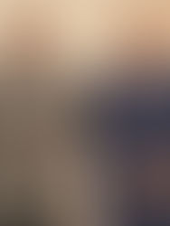 Johanna Kneer mit dem Silbernen Lorbeerblatt ausgezeichnet