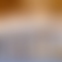 SV-Ausbildung: "Eine klare, innere Haltung entwickeln"