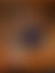 Johanna Kneer verewigt sich im Goldenen Buch der Stadt Ravensburg