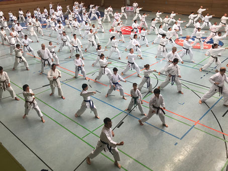 Sommercamp-Anmeldungen sorgen für Bestmarke