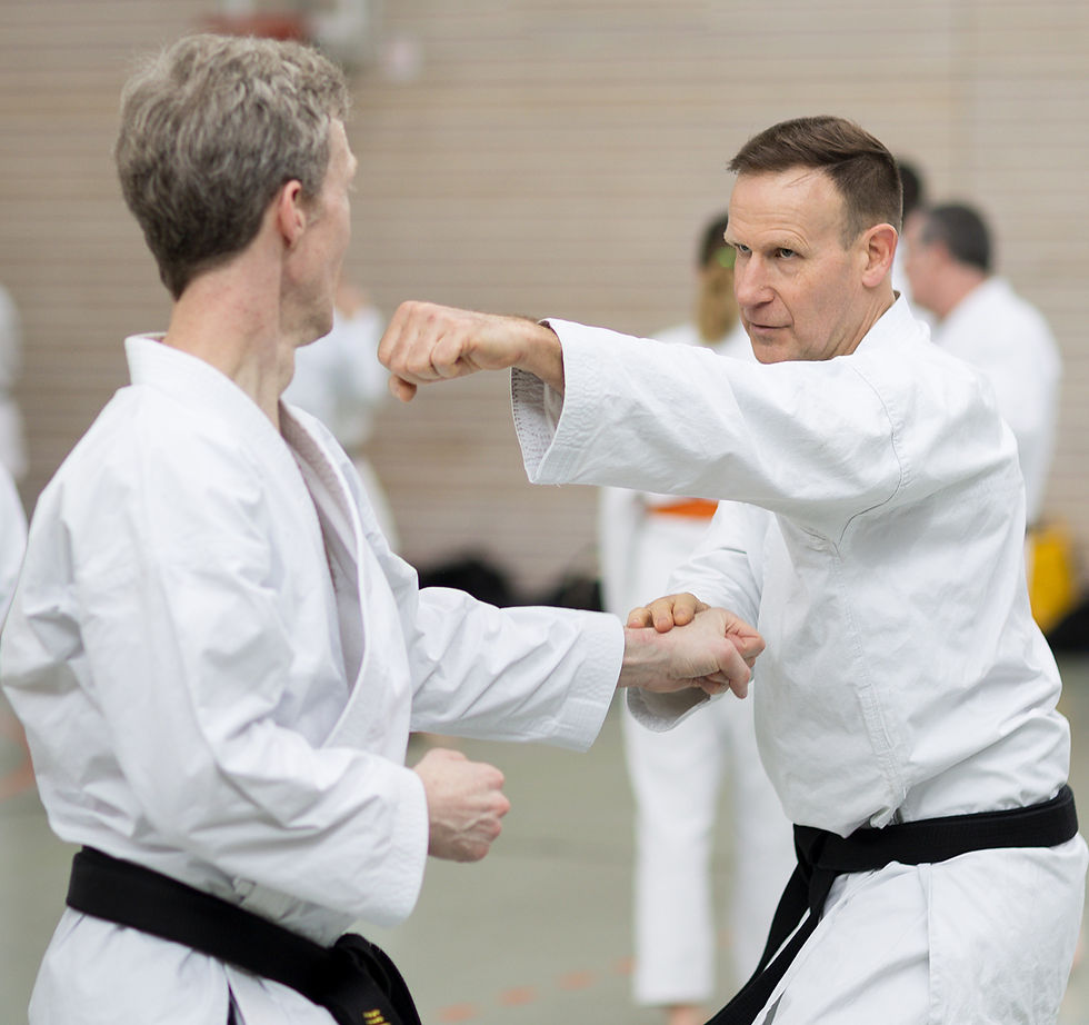 KVBW-Shotokan-Tag in Bietigheim-Bissingen mit tollem Angebot