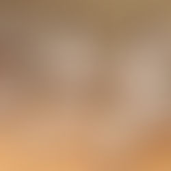 Seipai, Papuren, Gankaku und Gojushiho Sho auf der ToDo-Liste