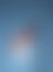 Ottawa endurece las reglas del sistema de asilo