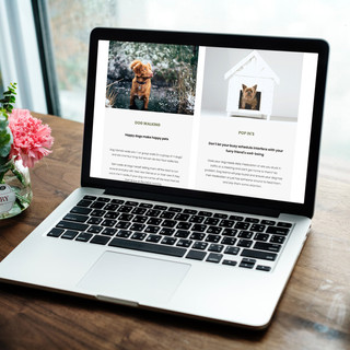Website