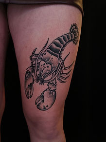 Afbeelding van WhatsApp op 2025-11-20 om 17.37.11_b3cdf8e8.jpg