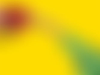 Fuel Saving Myths That Are Costing You Money