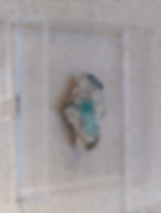 DSCF5869.jpg