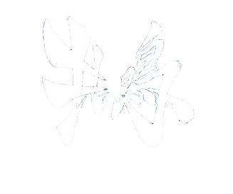 名称未設定 (Facebookカバー) (2)_edited.png