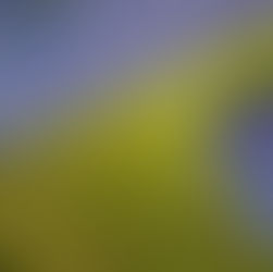 Lighting the Future: Singapore’s Green Energy Transition