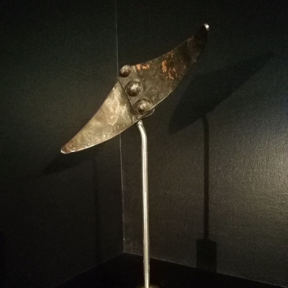 IMG_20200505_155953%20web_edited