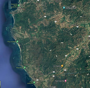 Screen Shot 2021-09-29 at 8.13_edited.jpg