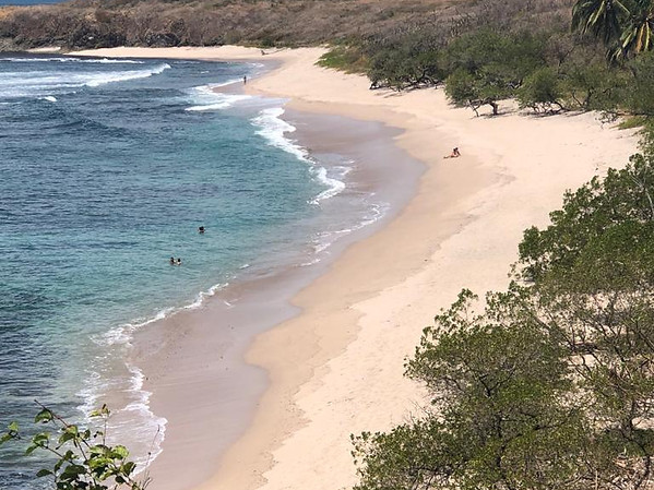 Playa Junquillal Surfing Beach Two.jpg