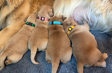 IMG_3176.HEIC