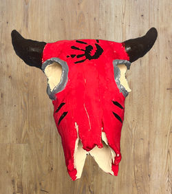 Animal Skull