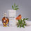 Thumbnail: Katari Black Seed Oil