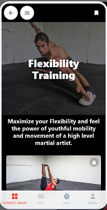 High performance training program