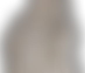 ΜΕΛΠΟΜΕΝΗ ΜΟΥΣΑ