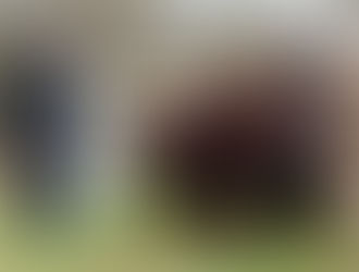 February 2026 update