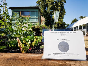 RHS Hampton Court Flower Show Silver medal joy!