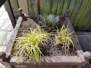 Greening the Grey