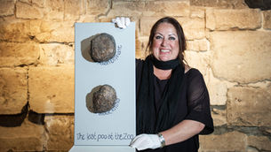 Unveiling the Art of Poo: 'The Origin of the Faeces' Unique Exhibition Coming to FUSEBOX, Kingston 