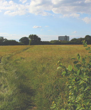 Share your thoughts about Tolworth's green and open spaces