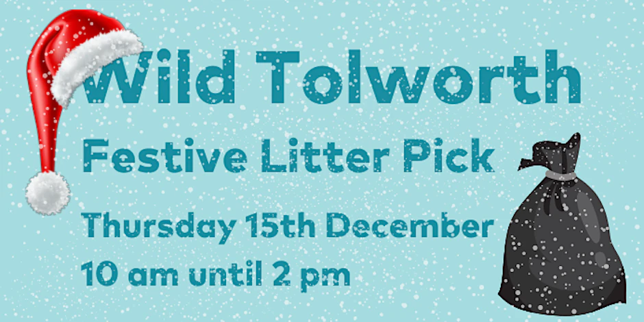 Wild Tolworth - Festive Litter Pick and Butterfly Egg Count
