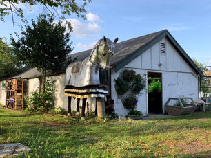 The Farm of Futures Community Survey