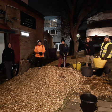 Mulching Around the Christmas Tree
