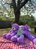 A very Tolworth teddy bear's picnic with EnhanceAble