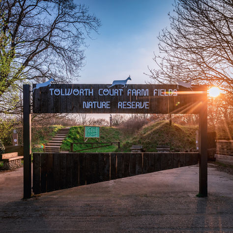 Have your say and help shape the future of Kingston’s largest nature reserve