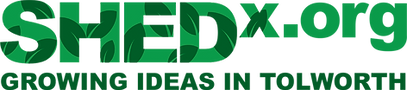 SHEDxORG Logo (1).png