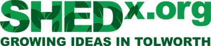SHEDxORG Logo (1).png