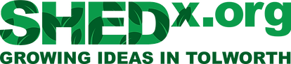 SHEDxORG Logo (1).png