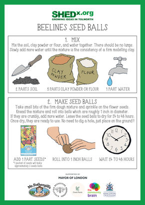 BeeLines Seed Ball Workshops
