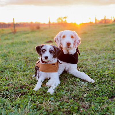 Sara Beth Photography-149.jpg