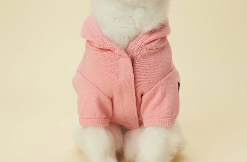 縮圖：Kakao Friends Ryan / Apeach Kakao Friends Pet Hoodie 寵物連帽連袖衛衣 （S/M/L）
